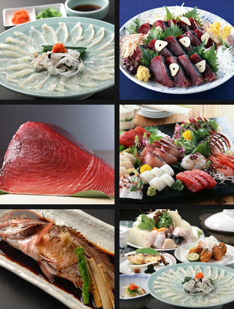 �G�߂̂����ߗ����ʐ^